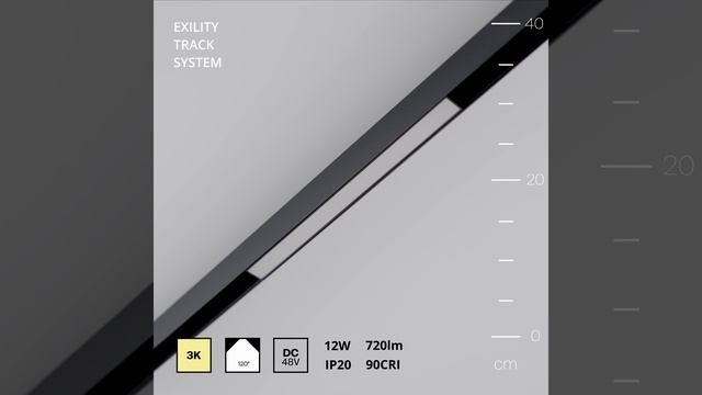 Светильник Maytoni Exility Basis TR030-2-12W3K-B