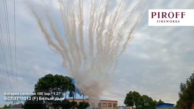 Дневной салют 100 залпов белый Екатеринбург