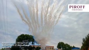 Дневной салют 100 залпов белый Екатеринбург