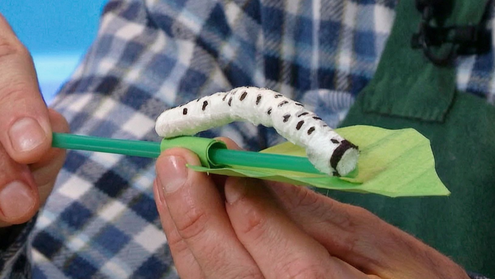 Мастерская: Гусеница своими руками Шоу для детей С добрым утром малыши! 2023 36264