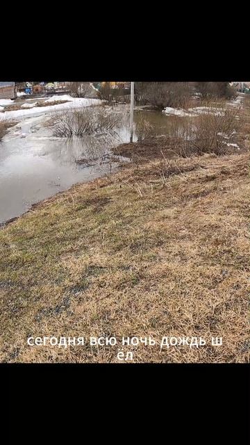 Водная артерия леса