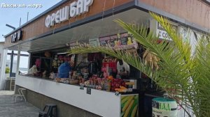 Адлер. Прогулка по набережной пляжа «Чайка 2». Апрель 2026 года