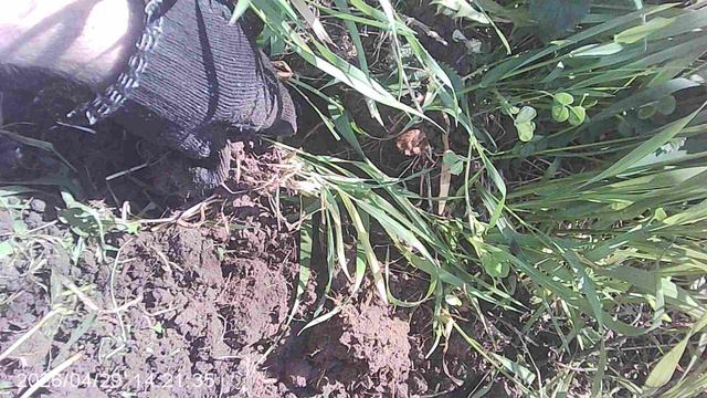 Перекапывание земли