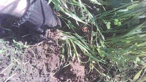 Перекапывание земли