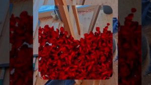 1000057251.mp4 (Собака наблюдает за устройством лестницы на 2-ой этаж в доме А-фрейм)