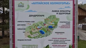 Дендропарк. Алтай