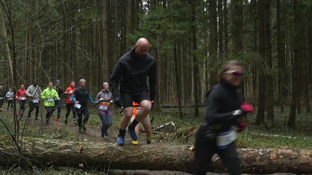 Соколиная гора 2026