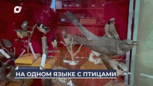 Дальний Восток на связи / На одном языке с птицами