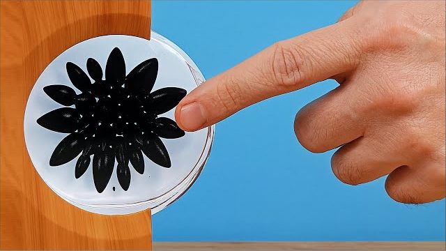 ВОТ ЧТО Я КУПИЛ НА ALIEXPRESS Alex Boyko