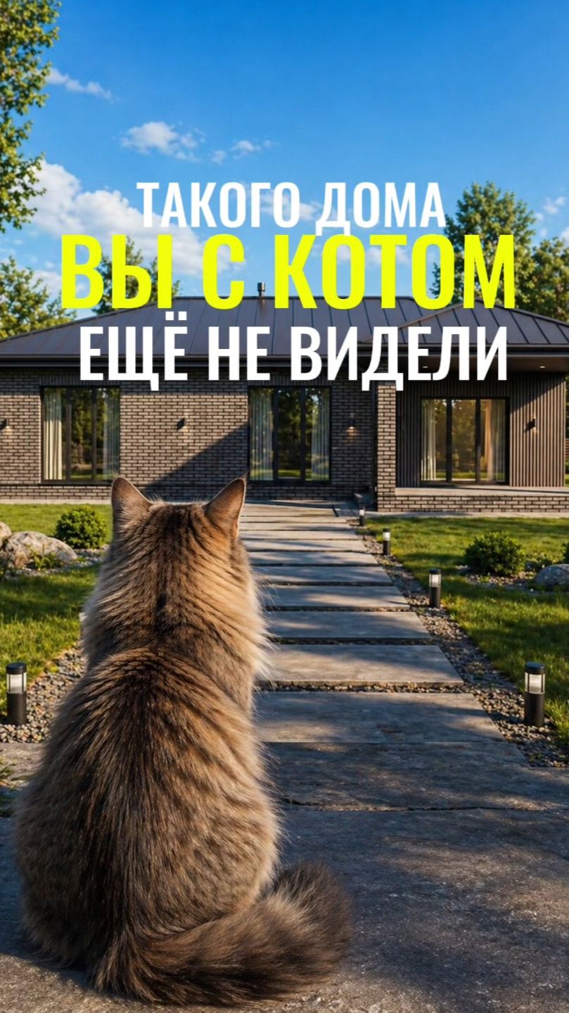 Такого дома вы с котом еще не видели)