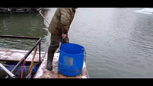 1000025021.mp4 смотреть онлайн