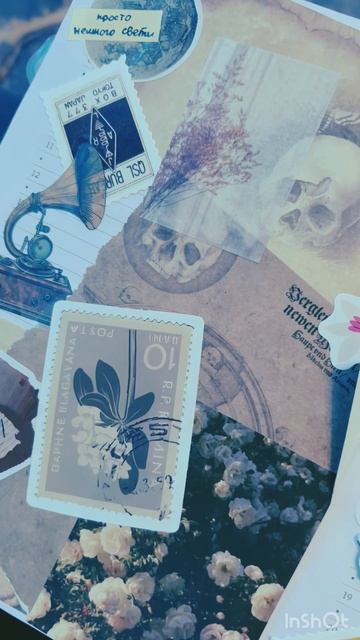 Video-output-1C6EBB19-CCF3-40D9-B210-60FD35888A65-1