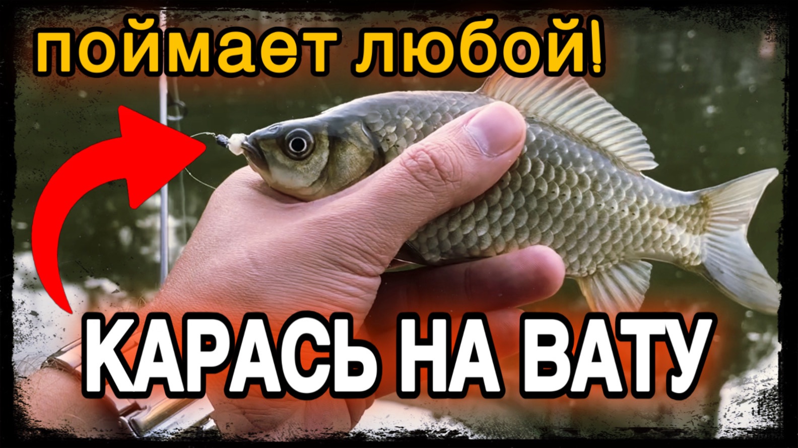 КАРАСЬ НА ВАТУ: СЕКРЕТНЫЙ СПОСОБ