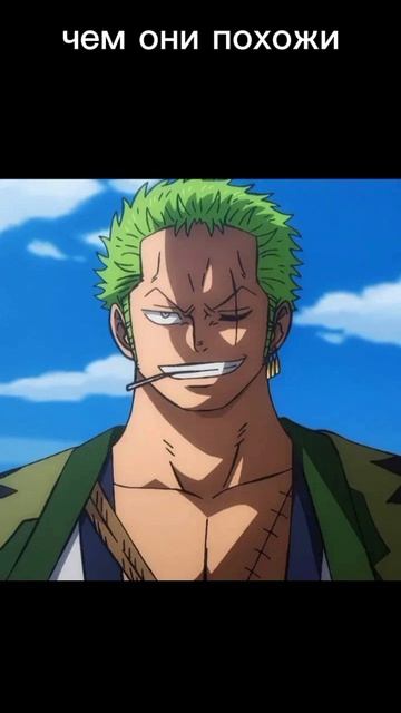 чем они похожи