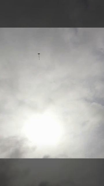 змей воздушный #топ#гоу