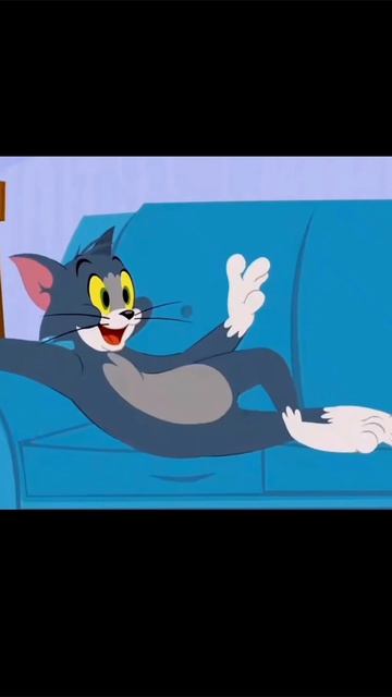 собака мия прогулка прикол москва весна