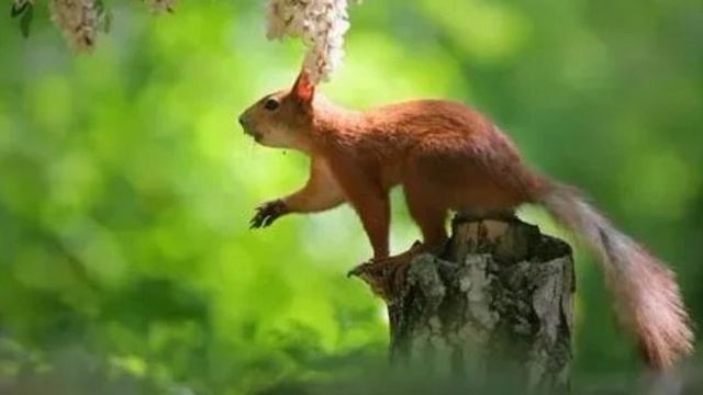 М.888 Молимся вместе. Откровение о послушании.