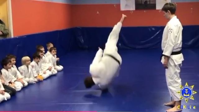 СДКLiVE-Все тайны СДК. Искусство безопасного падения. 2018-2020