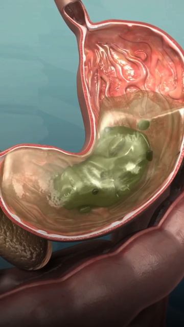 Пройдите онлайн чекам своего организма