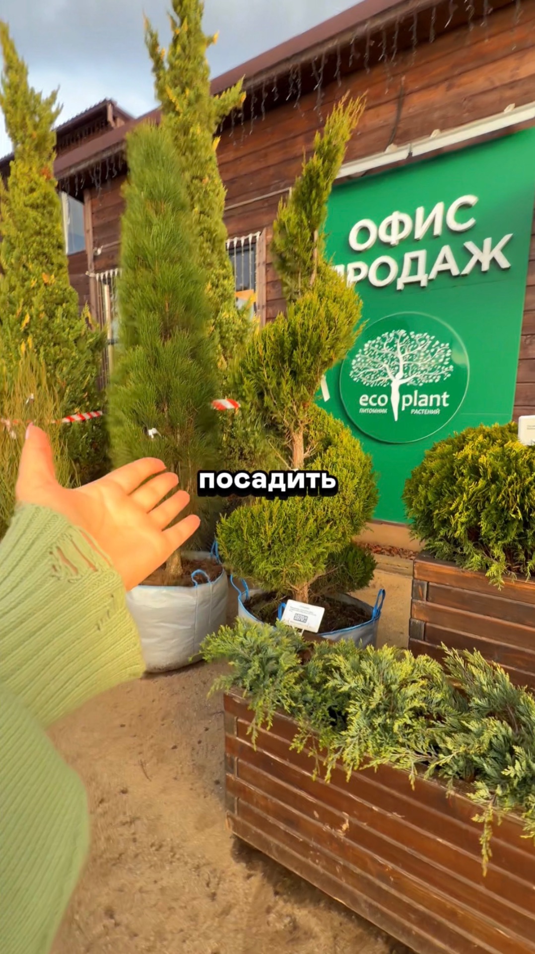 ИДЕЯ для входной зоны НА МИЛЛИОН 