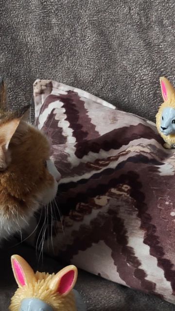 ЧЕРЕМША НЕ ФЕЙК!! Артикул на ВБ: 996998655 #черемша #ссср #неспеша #советскийсоюз