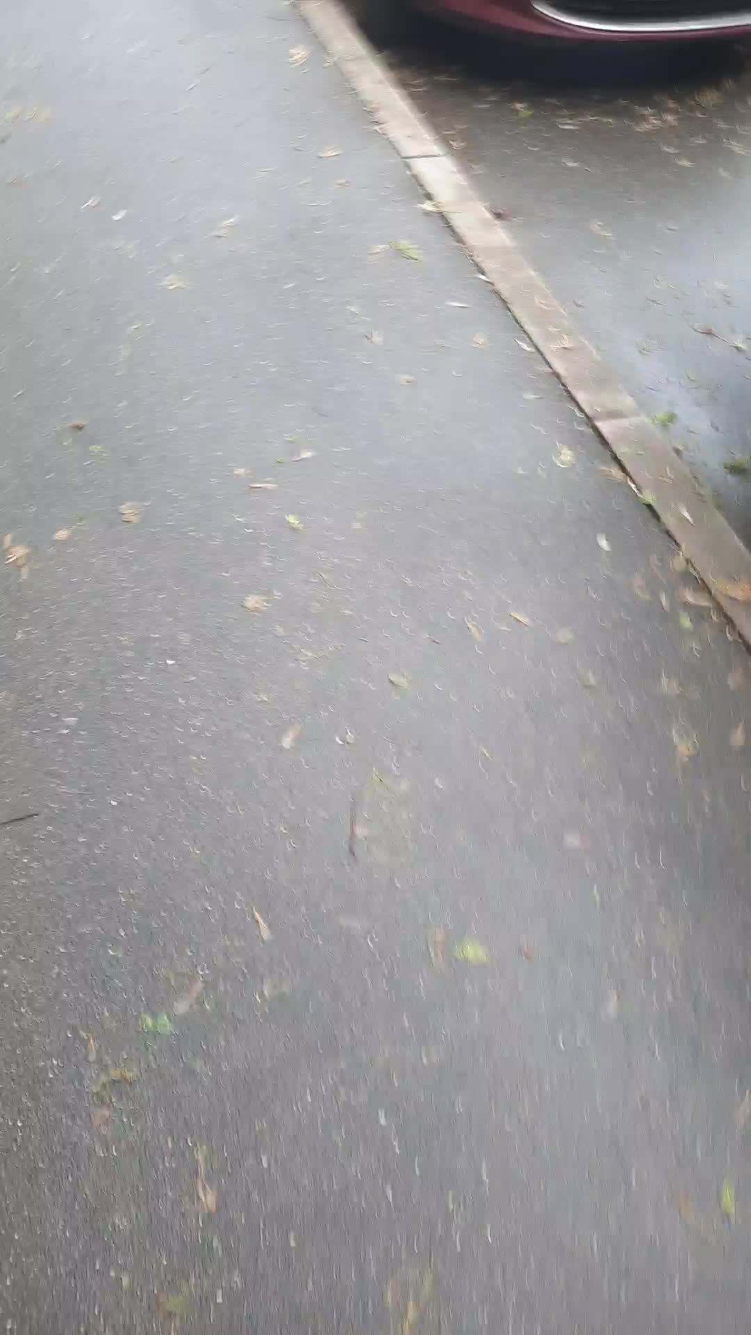 Гуляем с другом