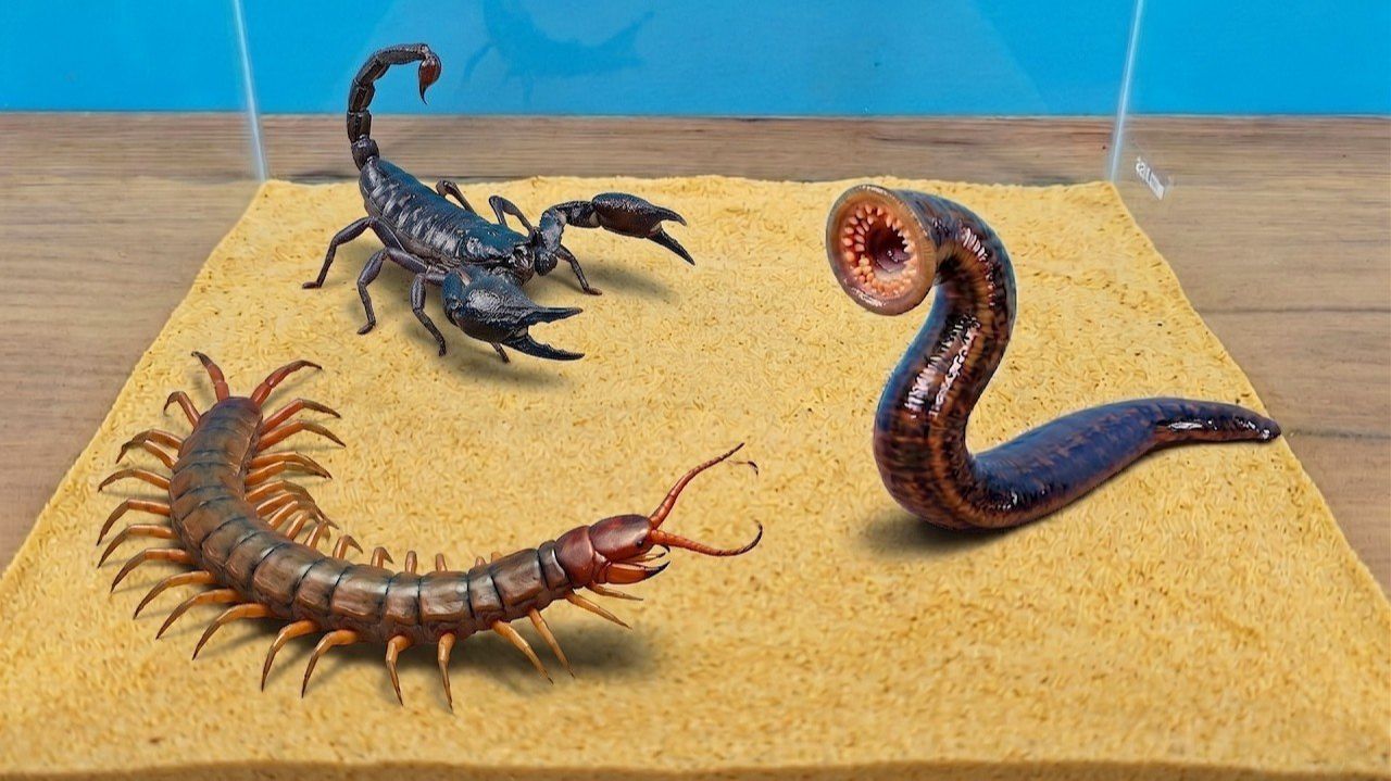 Кровожадная Пиявка против Скорпиона и Сколопендры! Кто победит?