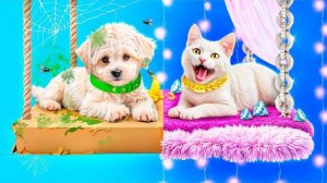 Мы построили двухэтажную кровать для животных