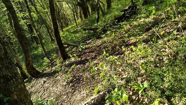 Для поиска пропавшей Леры запускаем в небо Мавик3Т с тепловизором