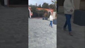 Пьянь Алеутская наступает