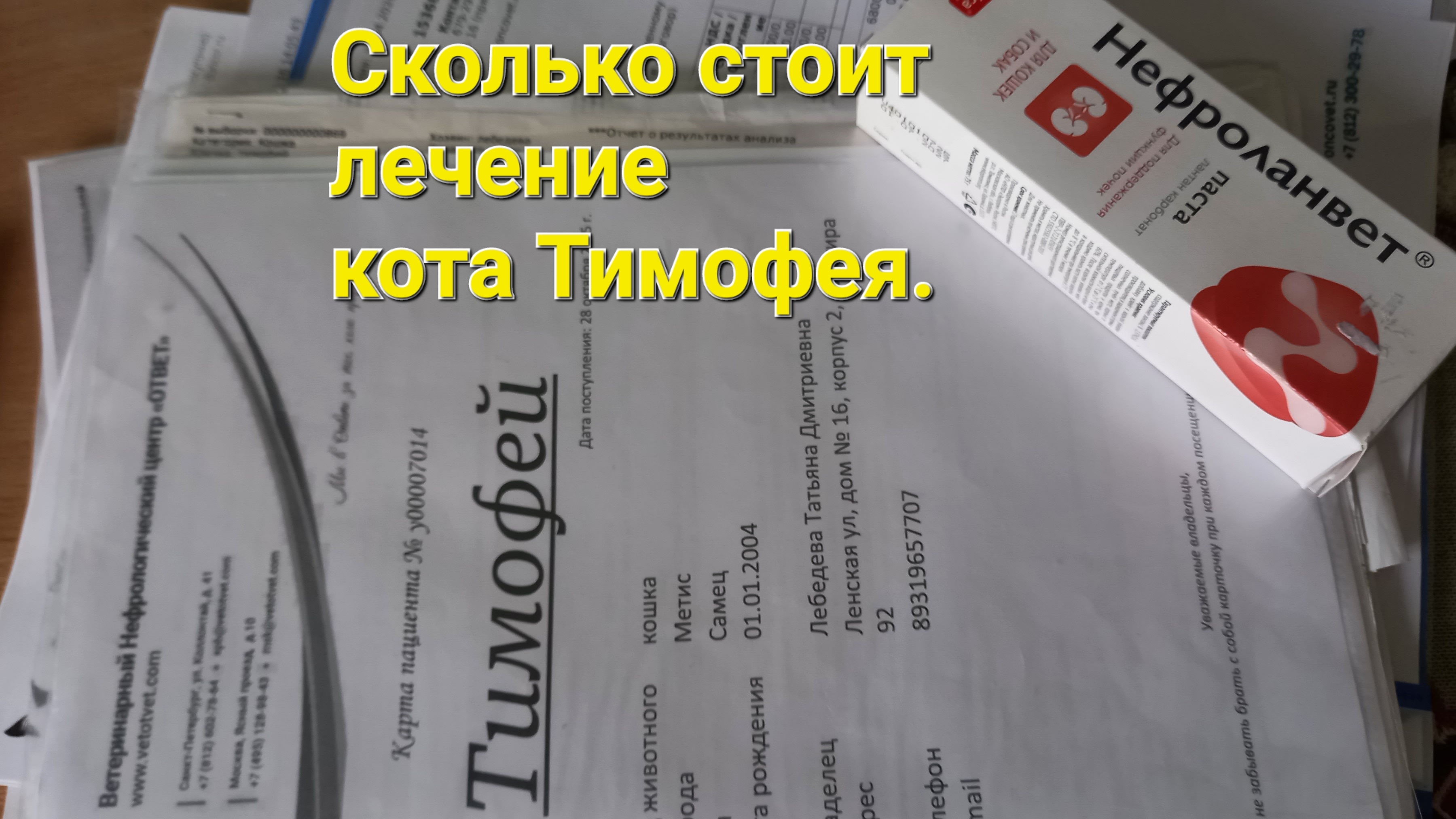 Сколько стоит лечение нашего кота Тимофея!
