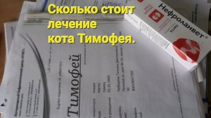 Сколько стоит лечение нашего кота Тимофея!