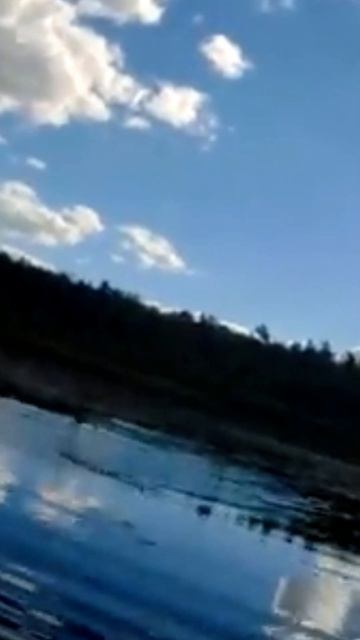 Копия - Bumble Lure Popper Хорватскле яйцо - Поклевка щуки в кувшинках и траве - с Алиэкспресс