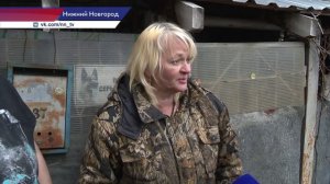 Историю по гибель собак в частном доме хозяйка питомника просто придумала