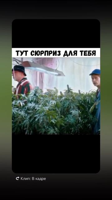 Атмосфера - Наслаждения!