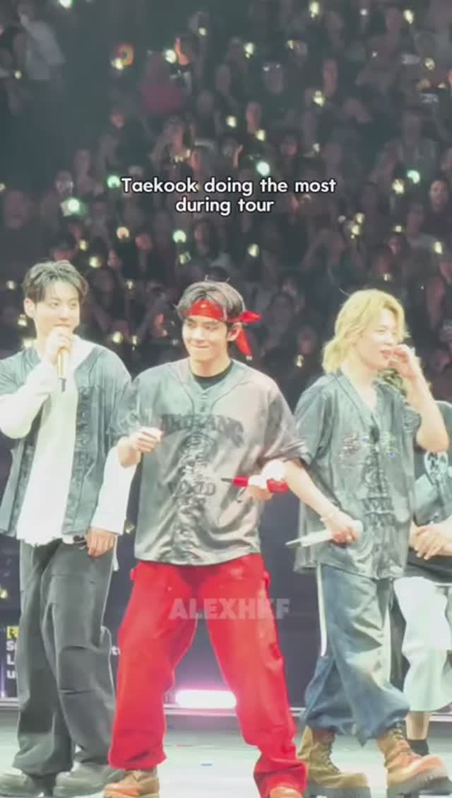 Они похожи на черепашек НИНЗЯ