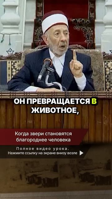 Когда звери становятся благороднее человека | Шейх Рамадан аль-Буты → 👤 #Шейх_Рамадан_аль_Буты