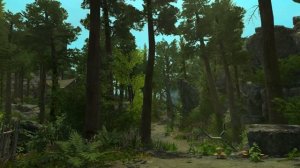 Enderal Music Ambience (Relaxing and Emotional Ambient Soundtrack)