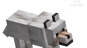 wolf bear shorts version