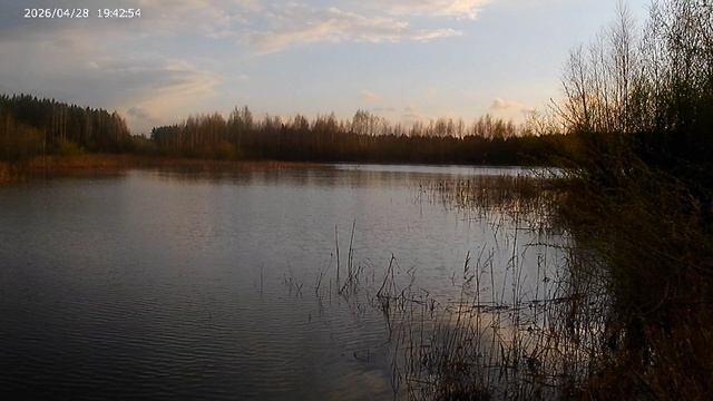 29-04-2026 вечер в СНТ 4