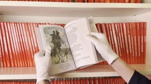 Медный всадник. Поэмы и пьесы (ил. Е. Комраковой)