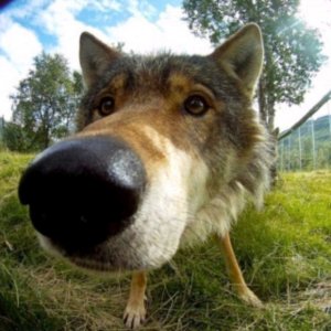 урок биологии