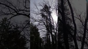 Послание от совета Плеяд (Хорон) к предстоящим событиям.