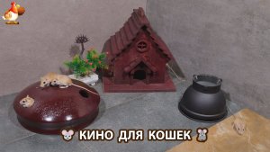 Видео для кошек про крысок развлекать питомцев 🐭🐀😂 (515)