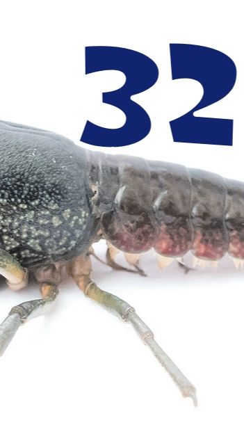 ЗАГАДКА ПОЯВЛЕНИЯ МРАМОРНЫХ РАКОВ - КОРОТКИЕ ИНТЕРЕСНЫЕ ФАКТЫ #32