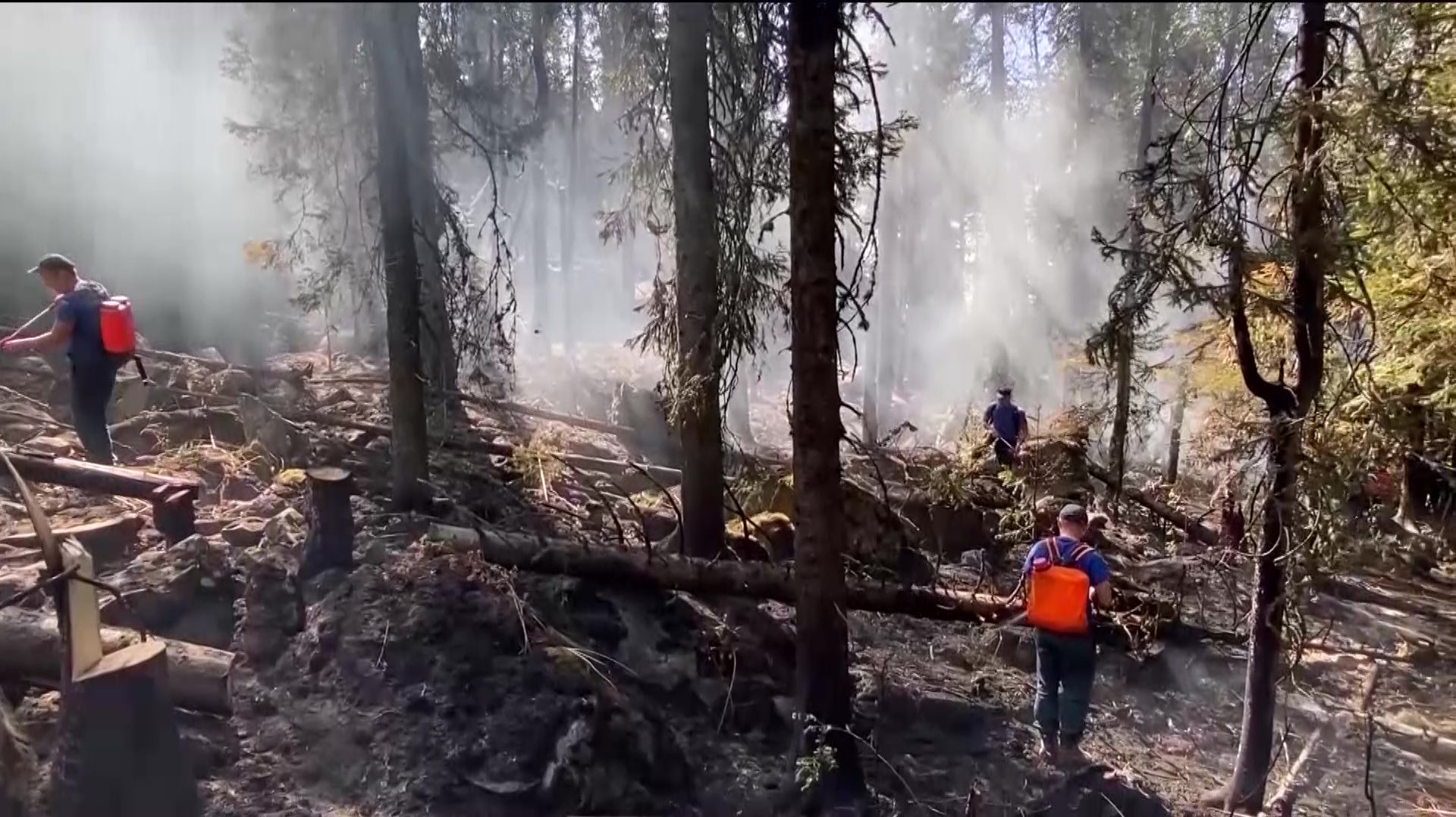 В Башкортостане с 30 апреля по 12 июня вводится особый противопожарный режим