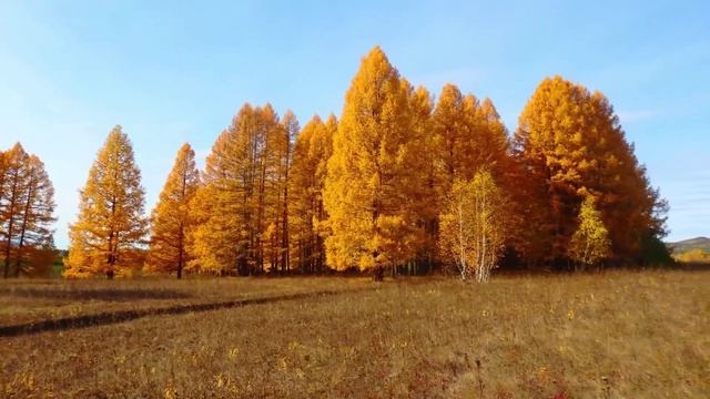 Золотая осень на Урале.