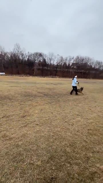 6.  выражено/перв STEEL INSIDE EVIL (Team Del Sol Nascente Ekaraj – Pride Spartanis Taro)