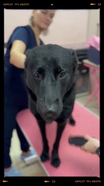 lv_0_202408180909071