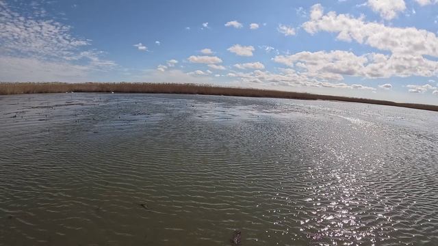 Рыбалка в Астрахани. Весна 2026.